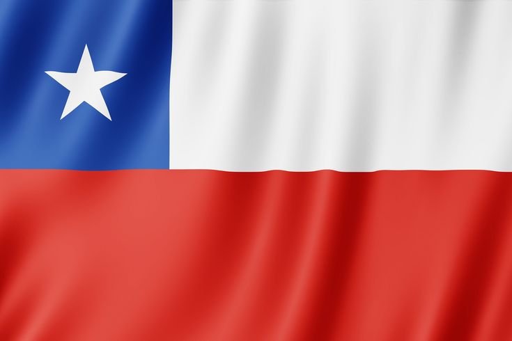 Flag Chile _ Custom Made Personalized Flag _ Individual Design _ High-quality materials _ Different Sizes _ National Flag